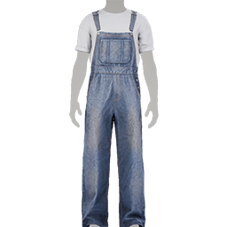 Denim Overalls