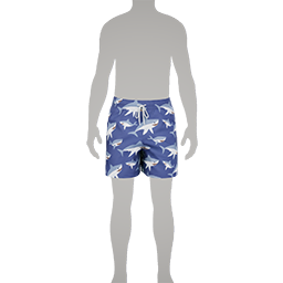Pattern Shorts