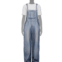 Denim Overalls